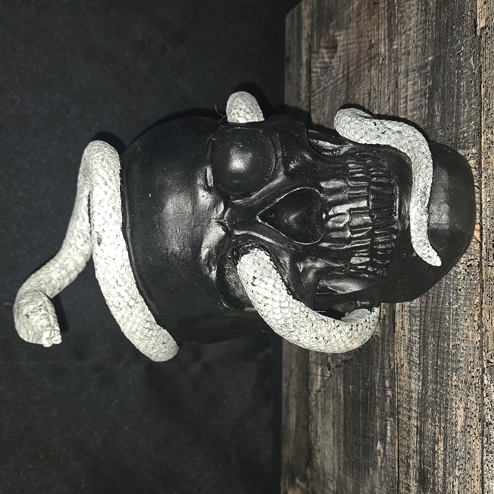 Black Skull with Silver Snake Home Accent